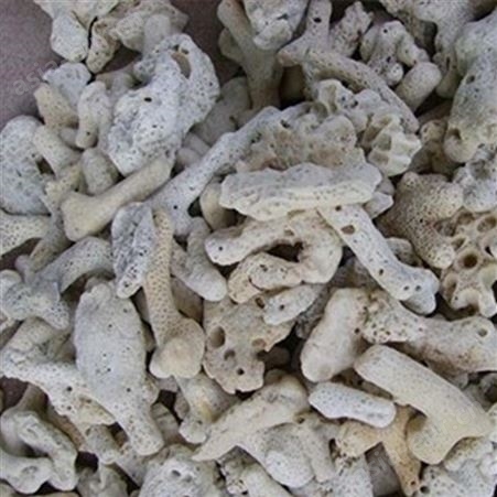 过滤材料珊瑚砂 鱼缸底部造景海水养殖 多孔珊瑚骨化石